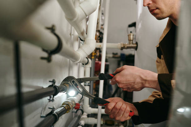 Best Local Plumber Services  in Channel Lake, IL