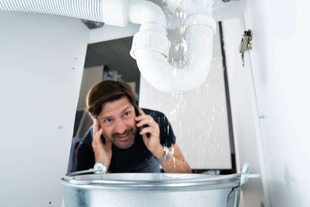 Best Residential Plumbing Services  in Channel Lake, IL
