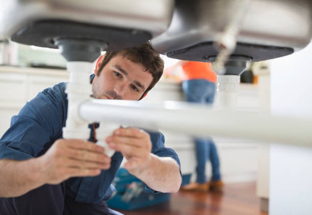 Best Toilet Repair Services  in Channel Lake, IL